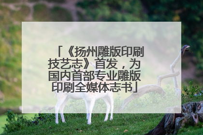 《扬州雕版印刷技艺志》首发，为国内首部专业雕版印刷全媒体志书