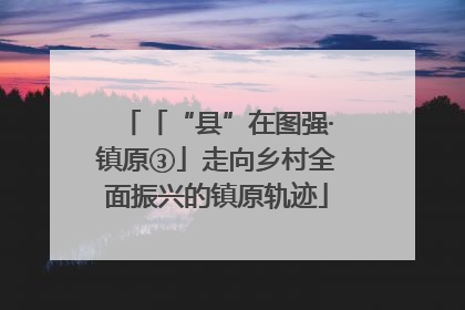 「“县”在图强·镇原③」走向乡村全面振兴的镇原轨迹