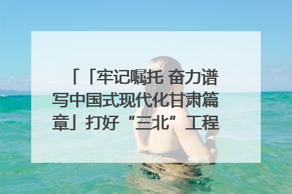 「牢记嘱托 奋力谱写中国式现代化甘肃篇章」打好“三北”工程攻坚战 筑牢国家西部生态安全屏障