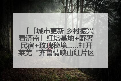 「城市更新 乡村振兴看济南」红培基地+野奢民宿+玫瑰秘境……打开莱芜“齐鲁情映山红片区”的破圈秘籍
