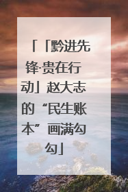 「黔进先锋·贵在行动」赵大志的“民生账本”画满勾勾