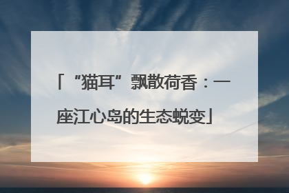 “猫耳”飘散荷香：一座江心岛的生态蜕变