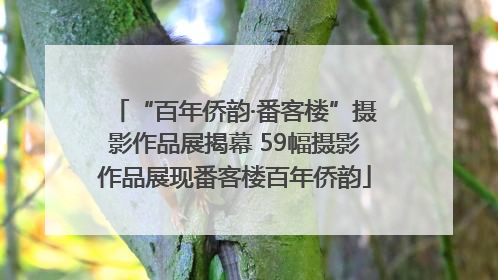 “百年侨韵·番客楼”摄影作品展揭幕 59幅摄影作品展现番客楼百年侨韵