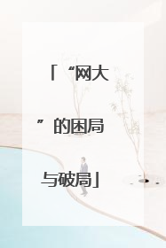 “网大”的困局与破局