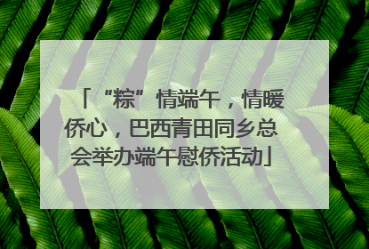 “粽”情端午，情暖侨心，巴西青田同乡总会举办端午慰侨活动