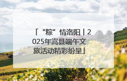 “粽”情洛阳丨2025年嵩县端午文旅活动精彩纷呈