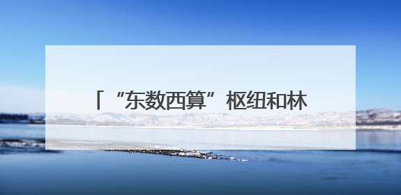 “东数西算”枢纽和林格尔新区：数据中心“绿电”使用率超80%