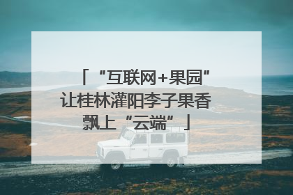 “互联网+果园”让桂林灌阳李子果香飘上“云端”
