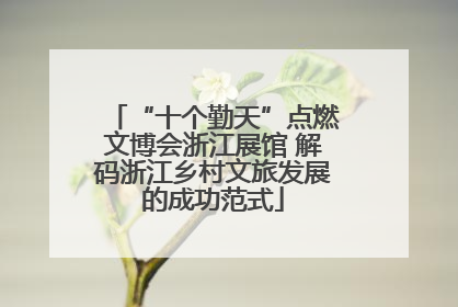 “十个勤天”点燃文博会浙江展馆 解码浙江乡村文旅发展的成功范式
