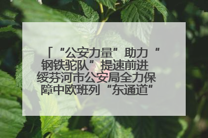 “公安力量”助力“钢铁驼队”提速前进 绥芬河市公安局全力保障中欧班列“东通道”绥芬河隧道贯通