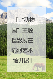“动物园”主题摄影展在清河艺术馆开展