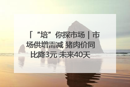 “培”你探市场｜市场供增需减 猪肉价同比降3元 未来40天便宜猪肉敞开吃