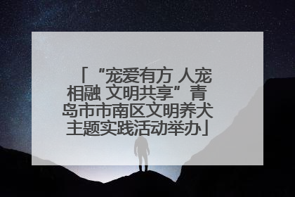 “宠爱有方 人宠相融 文明共享”青岛市市南区文明养犬主题实践活动举办