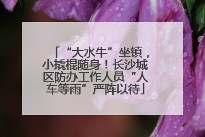 “大水牛”坐镇，小撬棍随身！长沙城区防办工作人员“人车等雨”严阵以待