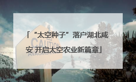 “太空种子”落户湖北咸安 开启太空农业新篇章