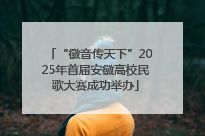 “徽音传天下”2025年首届安徽高校民歌大赛成功举办