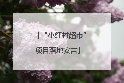 “小红村超市”项目落地安吉