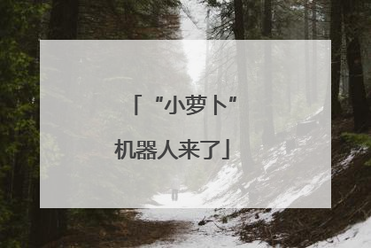 “小萝卜”机器人来了