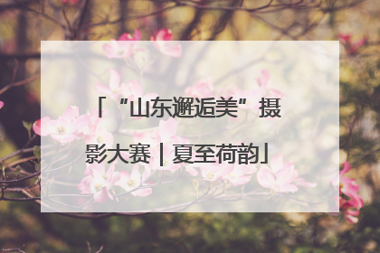 “山东邂逅美”摄影大赛｜夏至荷韵