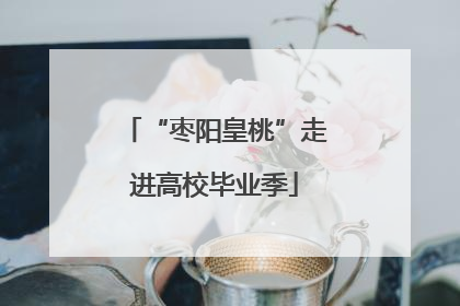 “枣阳皇桃”走进高校毕业季