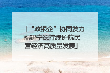 “政银企”协同发力 福建宁德持续护航民营经济高质量发展