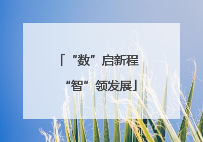 “数”启新程 “智”领发展