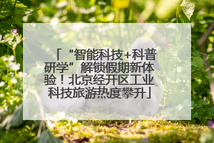 “智能科技+科普研学”解锁假期新体验！北京经开区工业科技旅游热度攀升
