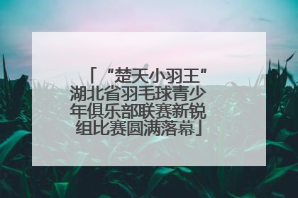 “楚天小羽王”湖北省羽毛球青少年俱乐部联赛新锐组比赛圆满落幕