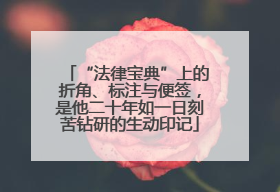 “法律宝典”上的折角、标注与便签，是他二十年如一日刻苦钻研的生动印记