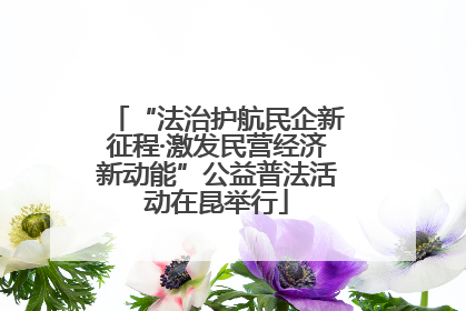 “法治护航民企新征程·激发民营经济新动能”公益普法活动在昆举行