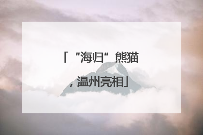 “海归”熊猫，温州亮相