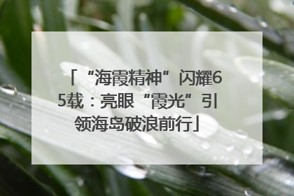 “海霞精神”闪耀65载：亮眼“霞光”引领海岛破浪前行