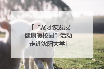 “聚才谋发展 健康暖校园”活动走进沈阳大学