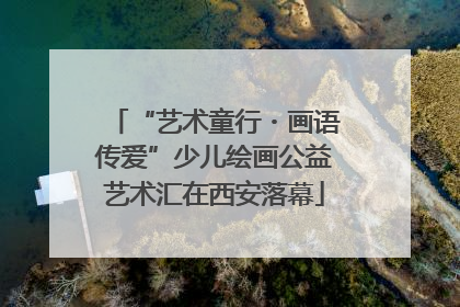 “艺术童行・画语传爱”少儿绘画公益艺术汇在西安落幕