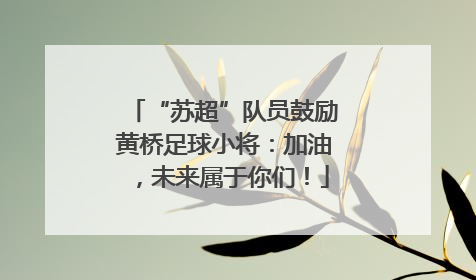 “苏超”队员鼓励黄桥足球小将：加油，未来属于你们！