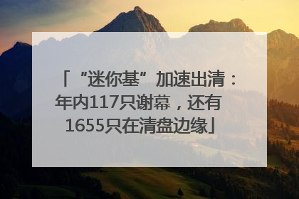 “迷你基”加速出清：年内117只谢幕，还有1655只在清盘边缘