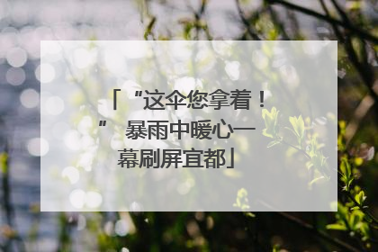 “这伞您拿着！” 暴雨中暖心一幕刷屏宜都