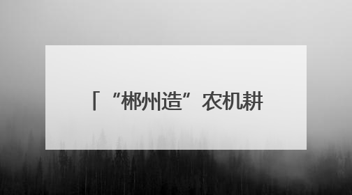 “郴州造”农机耕耘非洲好“丰”景
