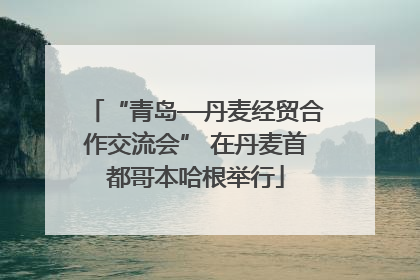 “青岛—丹麦经贸合作交流会” 在丹麦首都哥本哈根举行