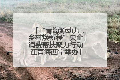 “青海源动力，乡村焕新程”央企消费帮扶聚力行动在青海西宁举办