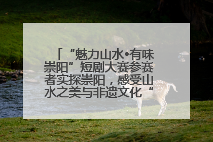 “魅力山水•有味崇阳”短剧大赛参赛者实探崇阳，感受山水之美与非遗文化“提琴戏”魅力