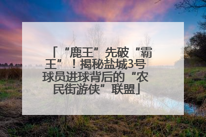 “鹿王”先破“霸王”！揭秘盐城3号球员进球背后的“农民街游侠”联盟