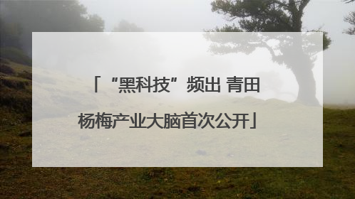 “黑科技”频出 青田杨梅产业大脑首次公开