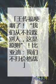 王传福哽咽了！“我们从不拉踩别人，这是原则”！比亚迪：我们不打价格战