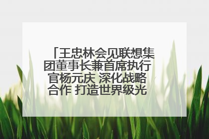 王忠林会见联想集团董事长兼首席执行官杨元庆 深化战略合作 打造世界级光电子信息产业集群