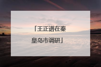 王正谱在秦皇岛市调研