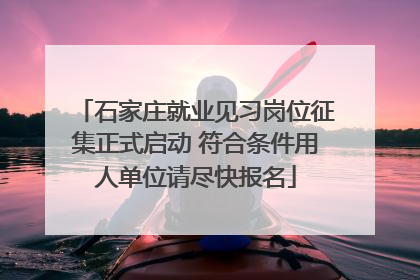 石家庄就业见习岗位征集正式启动 符合条件用人单位请尽快报名