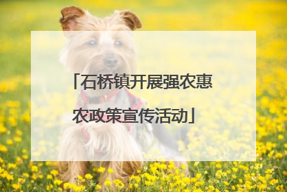 石桥镇开展强农惠农政策宣传活动