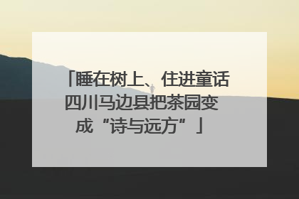 睡在树上、住进童话 四川马边县把茶园变成“诗与远方”