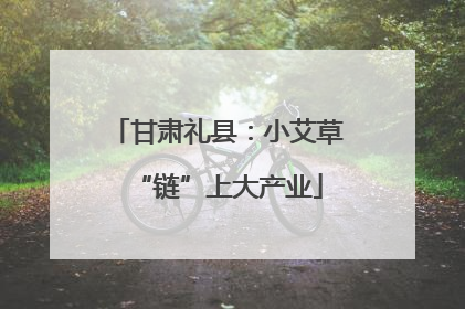 甘肃礼县：小艾草“链”上大产业